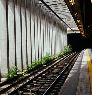Metrô e Trens Urbanos